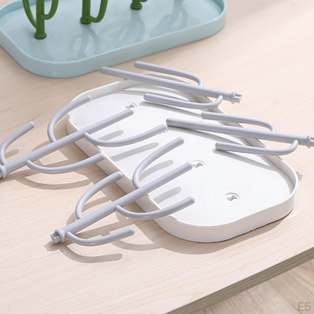 Drying Cactus Removable Feeding Multifunctional