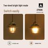 MOBIGARDEN Retro Camping Lamp