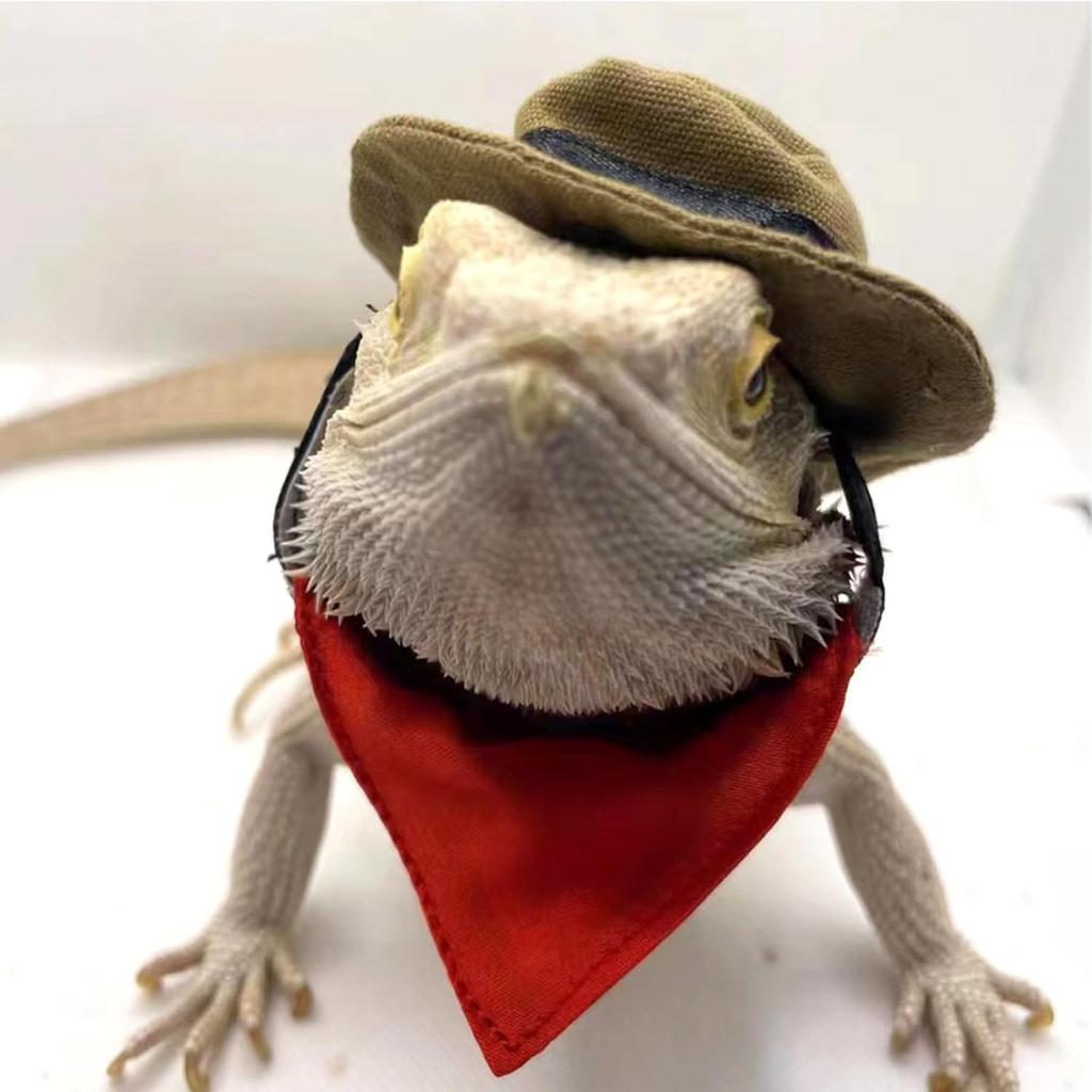 BAMY Bearded Dragon Cowboy Hat and Bandana Set Halloween Lizard Reptile Costume Cool Pet Cap Small Animal Outfit Suit for Cosplay (Cowboy)