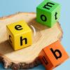 English Word Spelling Cubes Game Set Flash Cards Educational Toy for Kids Early Learning Classroom or Family Fun