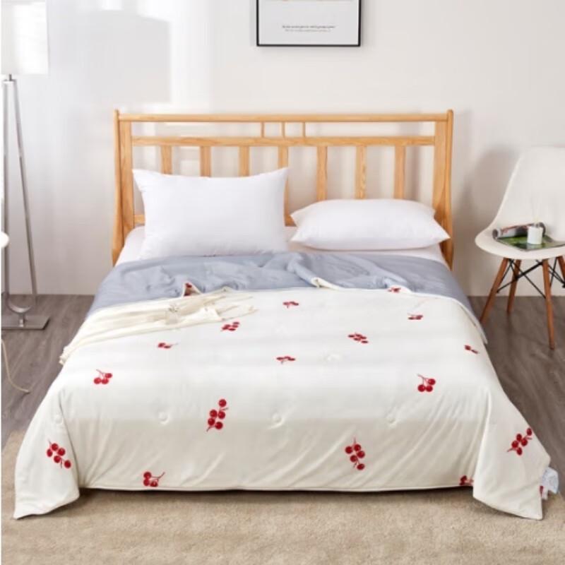 

Hongdou Summer Cooling Quilt