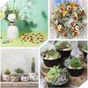 100PCS Ladybug Decor Tiny Ladybugs Decor Wood Ladybugs Shaped Embellishments Craft for DIY Craft Micro Animals Gifts
