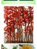 Artificial Red Maple, Ginkgo, Birch, Banyan, Elm Leaves for Landscaping