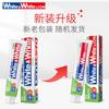 LION Probiotic Fresh Breath Toothpaste