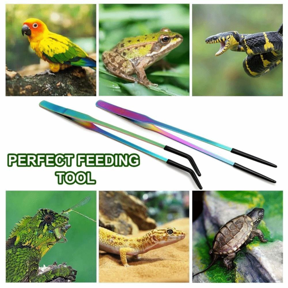 2PCS Stainless Steel Reptile Feeding Tongs Feeder Tools  Bearded Dragons Lizards