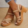 Fashion Summer High Heels Sandals Women 2025 Summer Ankle Buckle Platform Sandals Woman Pu Leather Square Heel Gladiator Sandalias Mujer