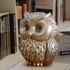 Nordic Retro Owl Figurine: Luxury European-Style Home Decor for Living Room and Entrance Hall.