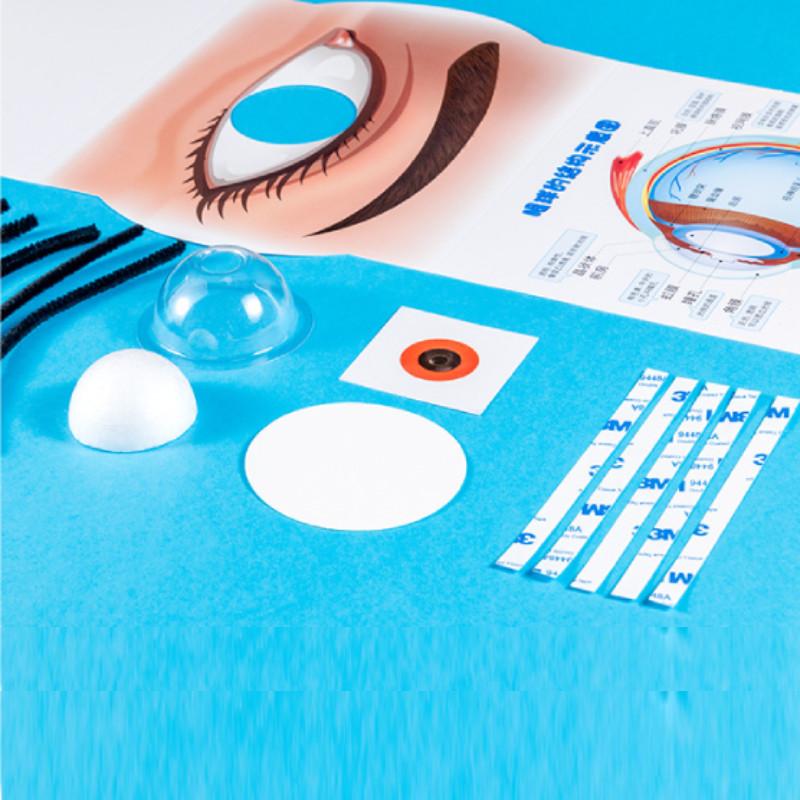 Simulierte Augenstruktur Bausatz Experiment Spielzeug Set Für Kinder