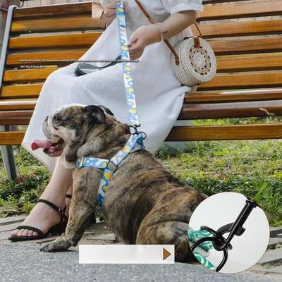 Köpek – Köpek Tasmaları ve Tasma Kayışları