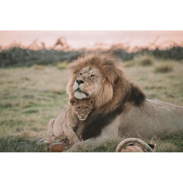 Black White Animals Art Lions Oil Painting Canvas Art Posters and Prints Wall Pictures for Living Room Home Wall Decor