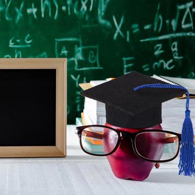 12 Pezzi Mini Cappello di Laurea Classe del 2026 Mini Cappelli di Laurea con Nappe Piccolo Cappello Nero da Laurea Decorazioni Tappo per Bottiglia
