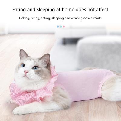 Kedi – Kedi bakım ürünleri
