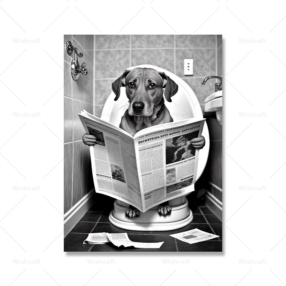 Zvířata sedící na záchodě Čtení novin Výtisky Legrační dekorace do koupelny Obrázky na zeď Opice Pes Kráva Plakát na WC