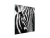 GLASS CUTTING BOARD 45x52 Zebra