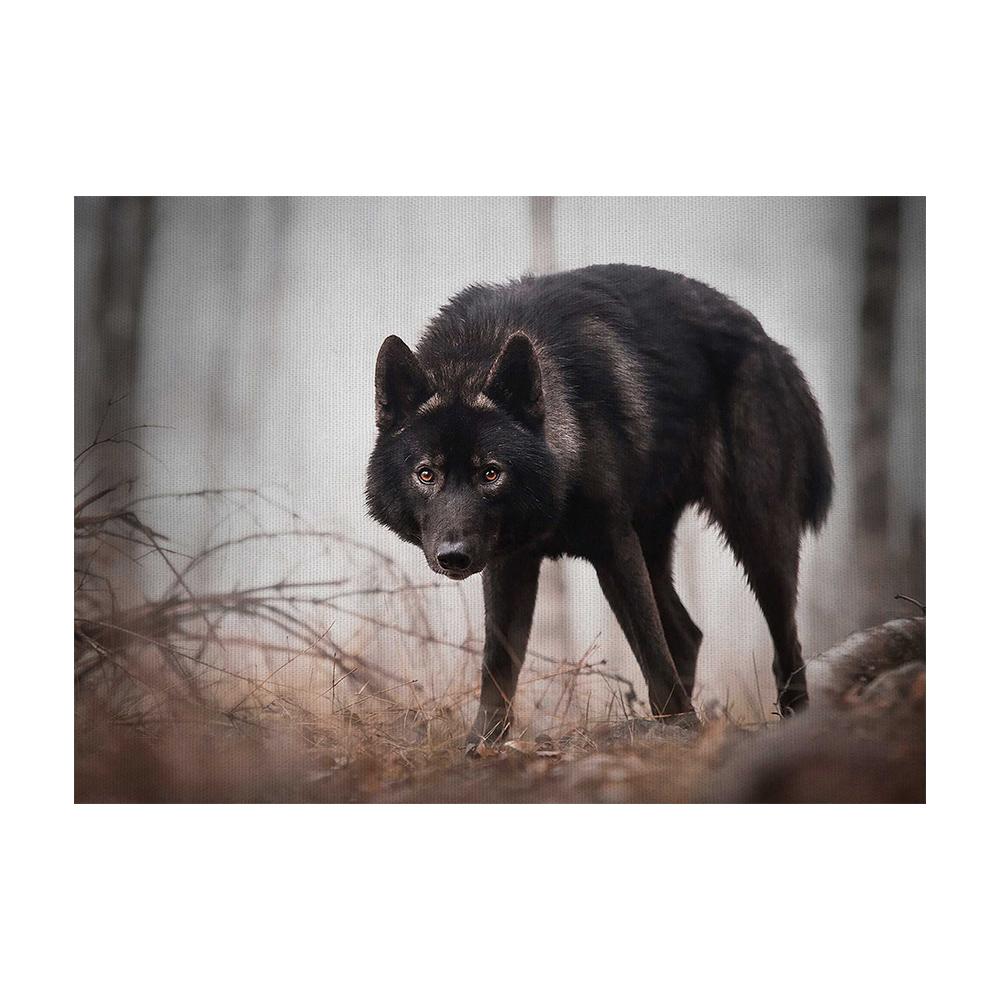 

Джунгли Животные Фото Стена Холст Печать Искусство Пейзаж Плакат Лес Черный Волк Природа Картина для Гостиной Домашний Декор Cuadros 40x50cm No Framed