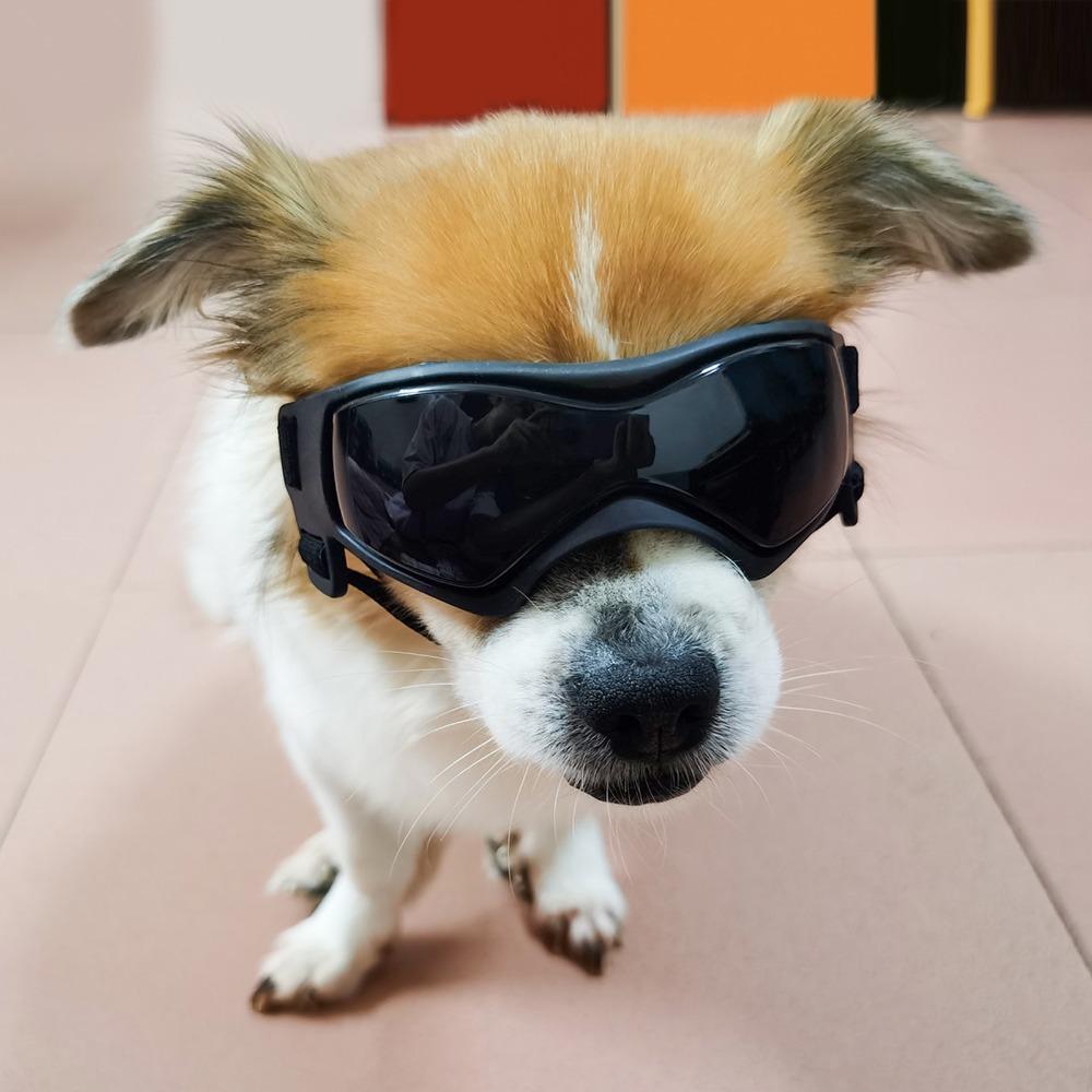 Dog Glasses Outdoor Pet Goggles for Large Dogs Windproof Outdoor Riding Dog Goggles UV Protection Dog Accessories Dog Collar