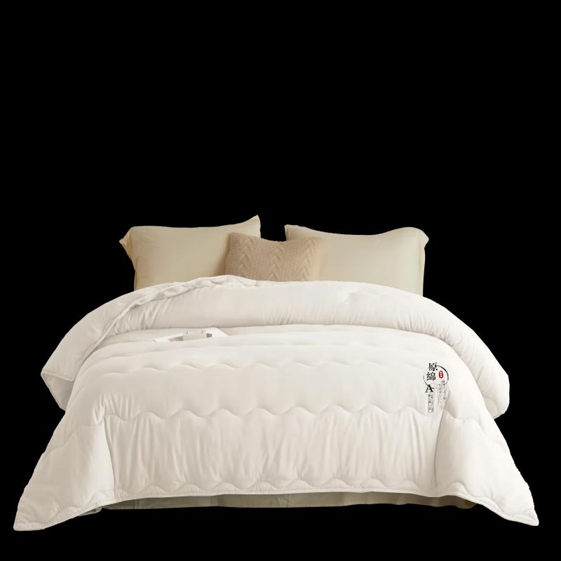 

Hodo Polyester Moisturizing Quilt