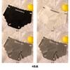 Ice Silk Seamless Women's Underwear