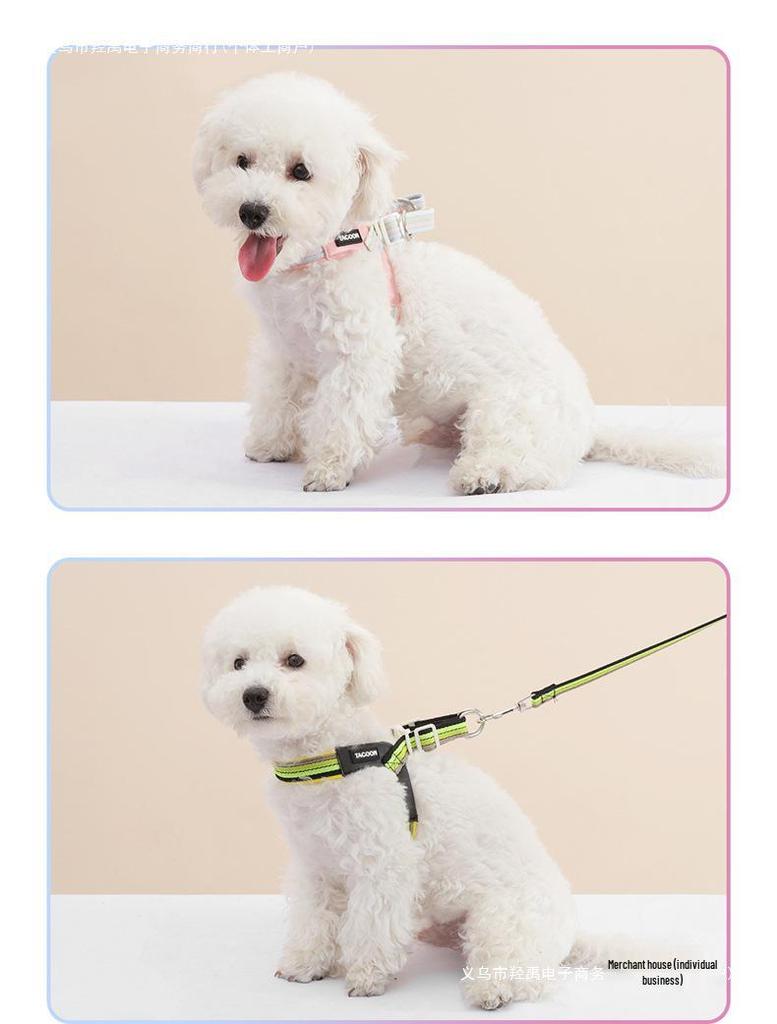 Breathable Color Block Harness & Leash for Small/Medium Dogs - Teddy, Shiba Inu