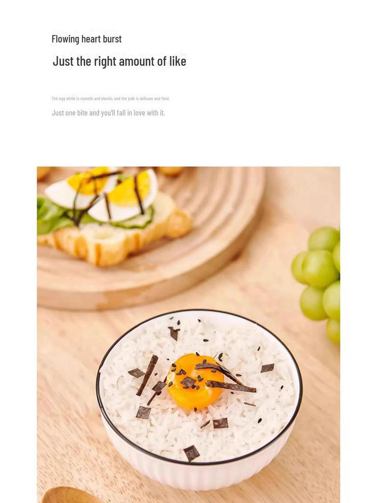 Automatic Japanese-Style Egg Steamer with Timer for Hot Spring and Candied Eggs