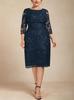 Elegant Slim-Fit Plus Size Lace Embroidered Cocktail Dress for Women