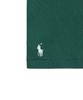 POLO RALPH LAUREN Custom Slim Fit Western Logo T-Shirt - Green