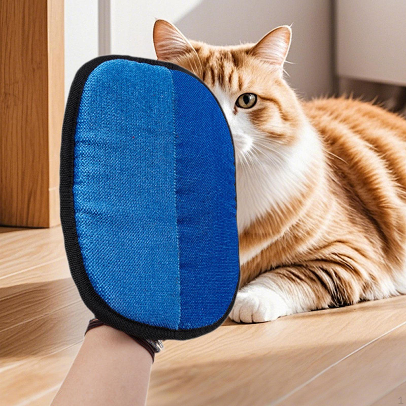 

Перчатка для удаления шерсти для груминга кошек и собак, инструмент для чистки мелких животных синий