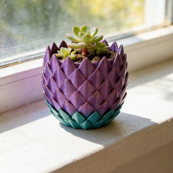 Doniczka ze Skalą Smoka z Podstawką Wewnątrz Na Zewnątrz Sukulenty Rośliny Ziołowe Doniczka Pojemnik z Otworami Drenażowymi Wystrój Domu Balkonu Ogrodu