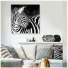 Les Trésors De Lily [A3274] - Fotoleinwand 'Zebra' schwarz weiß - 60x60 cm