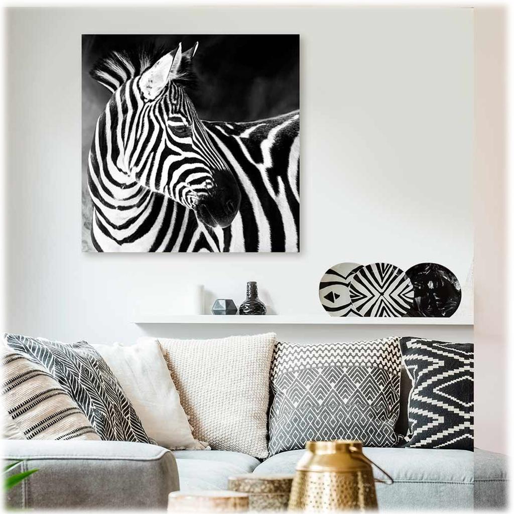 Les Trésors De Lily [A3274] - Panza foto 'Zebra' alb negru - 60x60 cm