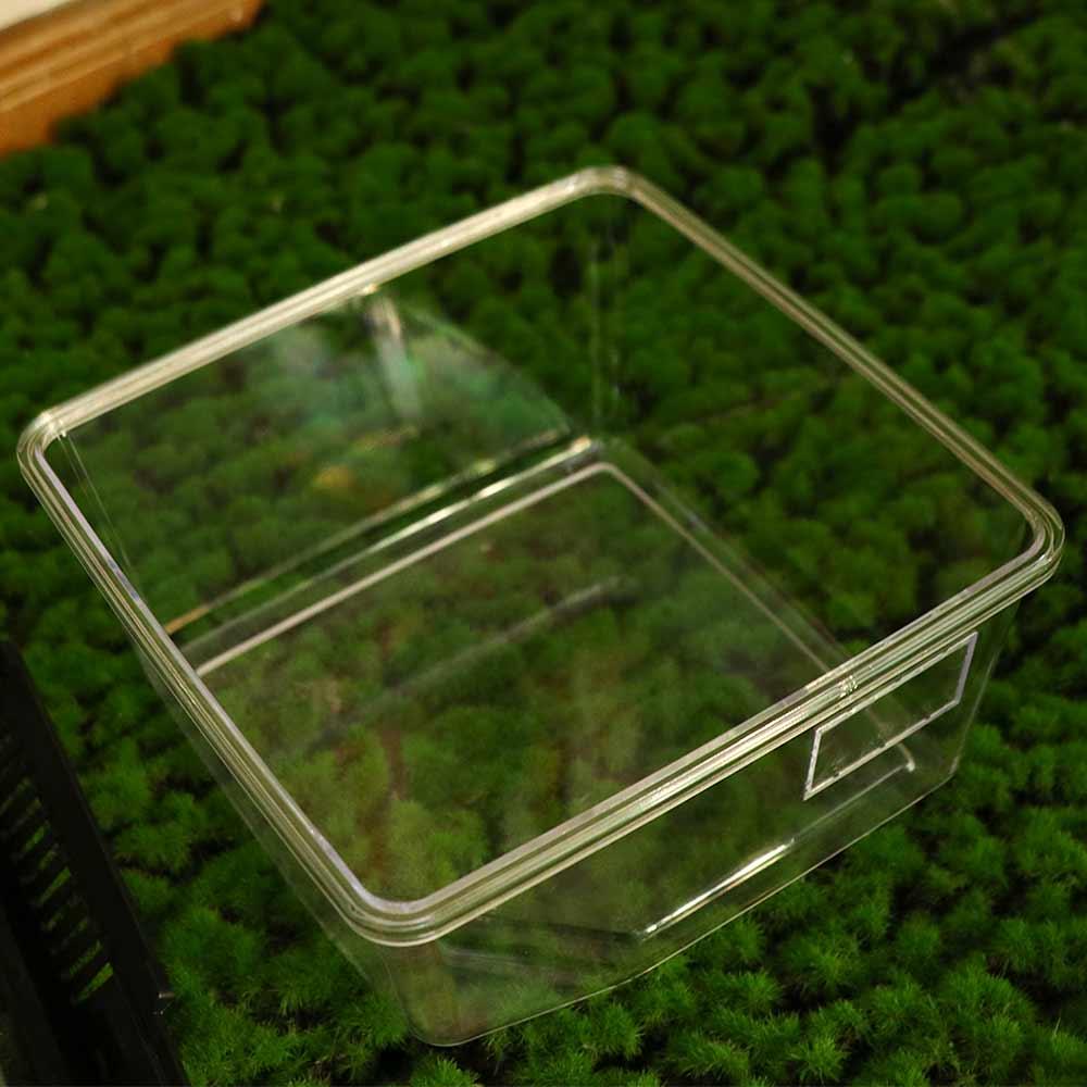 Flip Cover Type Reptile Carrier Box Plastic Lizard Grow Box  Tarantulas