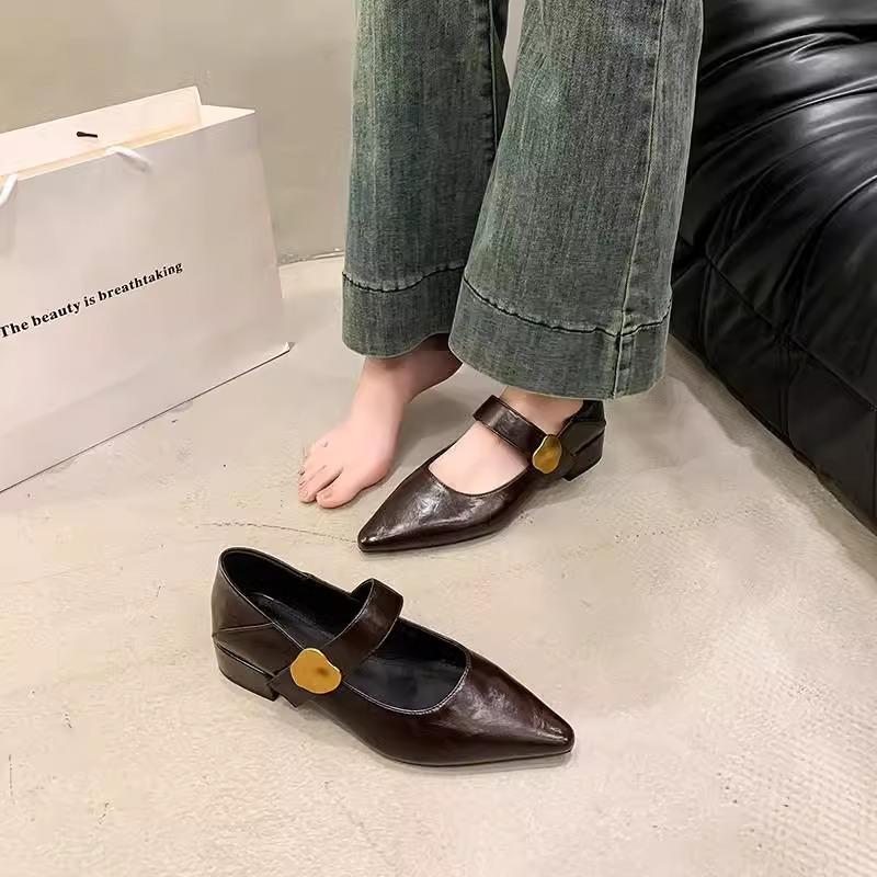 Französische Dameneinzelchuhe mit dickem Absatz, Frühling und Herbst 2025 neu, Metallschließe, spitze Zehenpartie, flacher Ausschnitt, Riemchen im Mary-Jane-Stil