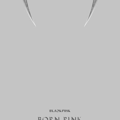 BLACKPINK - BLACKPINK 2. ALBUM [BORN PINK] BOXSET [GRAUE Version]