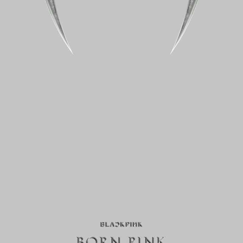 

BLACKPINK - BLACKPINK 2nd ALBUM [BORN PINK] BOX SET [GRAY ver.]