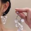 New super fairy design sense light luxury vacation style earrings female shell flower high sense long fringed earrings earrings