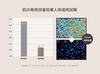 [Official] TEABLESS Lily Musk White Tea Perfume Body Wash 500g  Tea and Lily Musk Scent, Scrub Formula, Moisturizing, Hypoallergenic Body Soap,