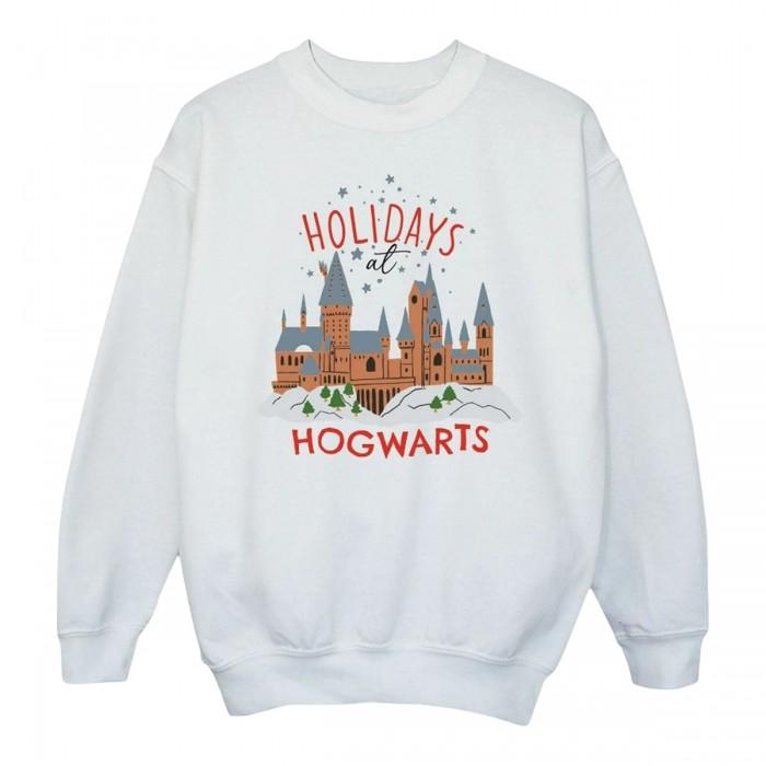 Harry Potter Boys Holidays At Hogwarts Sweatshirt