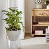2Pcs Wooden Plant Trellis Creative Shape Easy Installation Indoor Outdoor Climbing Plants Support Trellis Garden Supplies