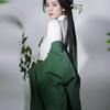 Chinese Wei And Jin Dynasty Style Hanfu Solid Color Fairy Hanfu Large Sleeves And Elegant Clothing