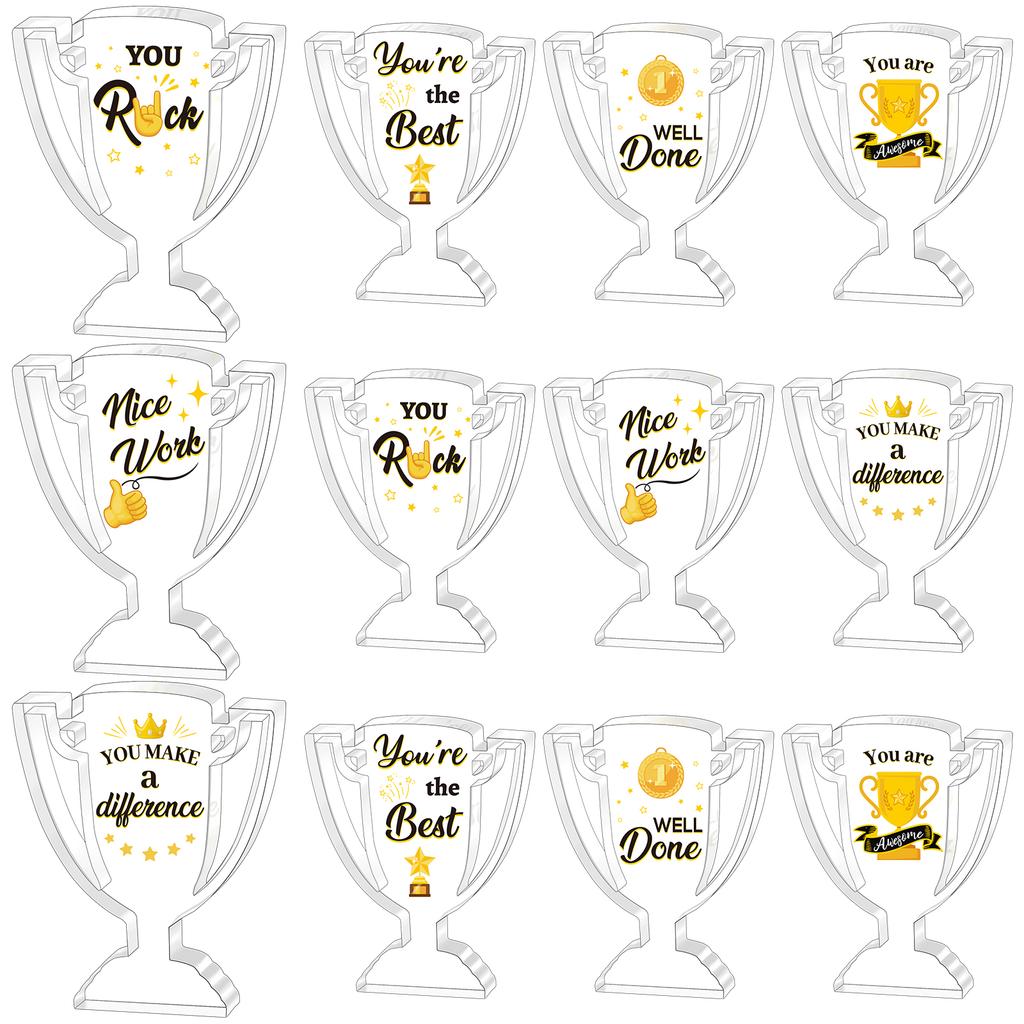 Piaopiaoniu 12 Pcs Appreciation Acrylic Trophy Awards Bulk Mini Employee Appreciation Gifts Small Thank You Plaque For Recogniti