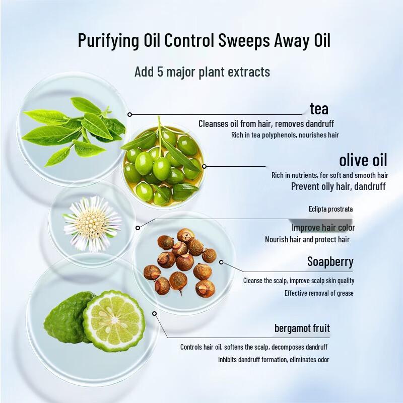 100 Years Hair Care Oil Control Amino Acid Men's Shampoo