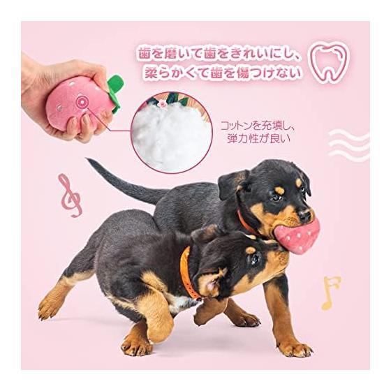 Set of 10 Dog Toys, Dog Chewing Toys, Sounds, Stuffed Toys, Cute, Relieve Lack of Exercise, Relieve Stress, Funny, Beautiful, Safe, Durable, Dogs,