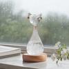 Vorhersageflasche mit Engelsdesign, Glasfigur Dekorativ Sturmflasche für Zuhause Büro Schreibtisch Dekor, Kristallklar Wetteranzeige Geschenk für