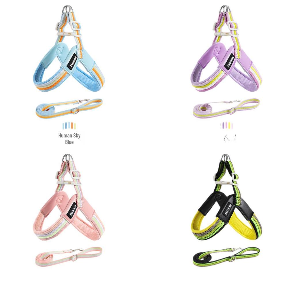 Breathable Color Block Harness & Leash for Small/Medium Dogs - Teddy, Shiba Inu