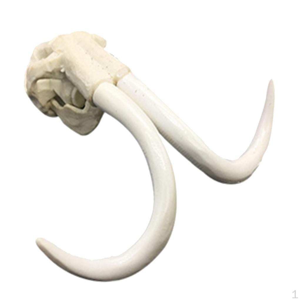 

Затискач-підйомник для керма 7/8 22 мм для мотоциклів XR CRF 50 70cc 110cc 125cc Elephant Head Bone