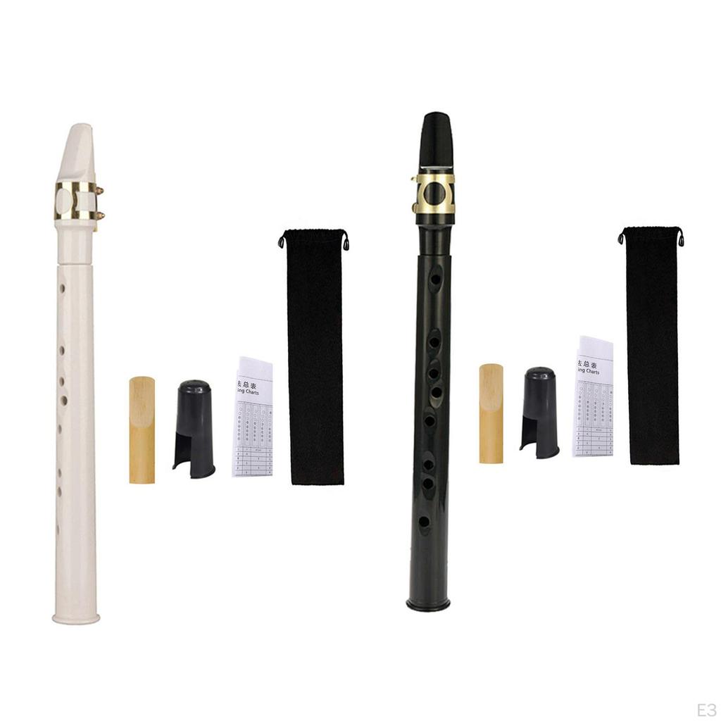 Compact Saxophone for Beginners with And Carrying Case