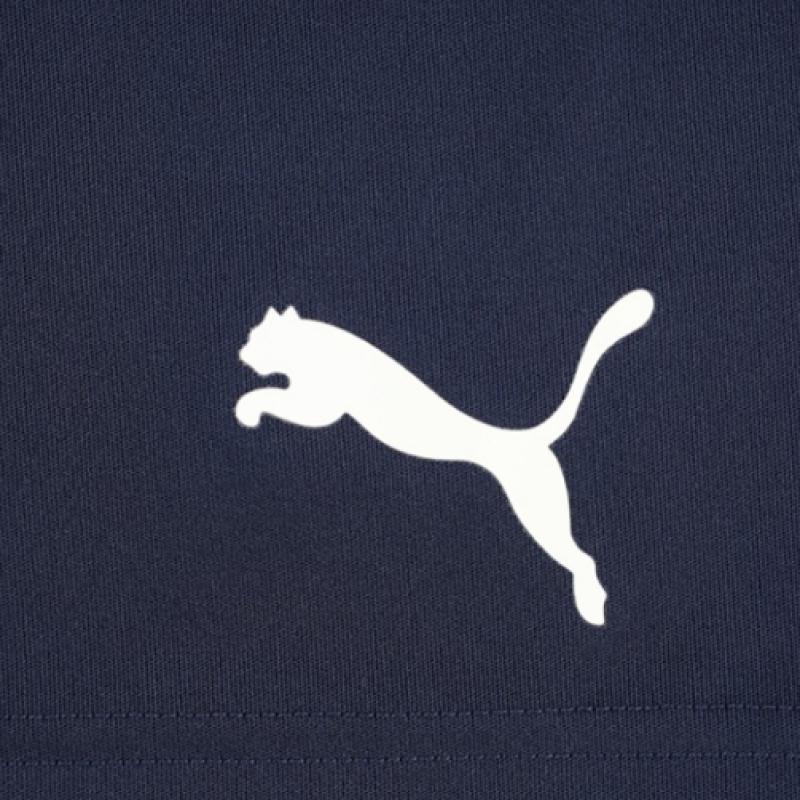 Puma TeamriSe Training Knit ShortS 65733606 Men S ShortS