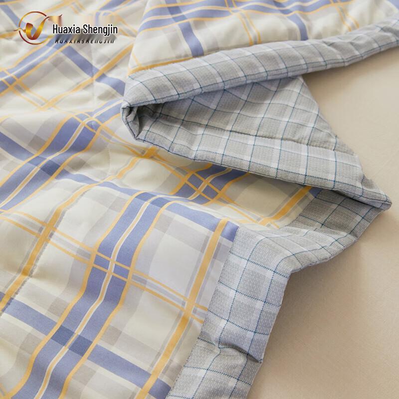 Huaxia Shengjin Machine Washable Single Winter Quilt