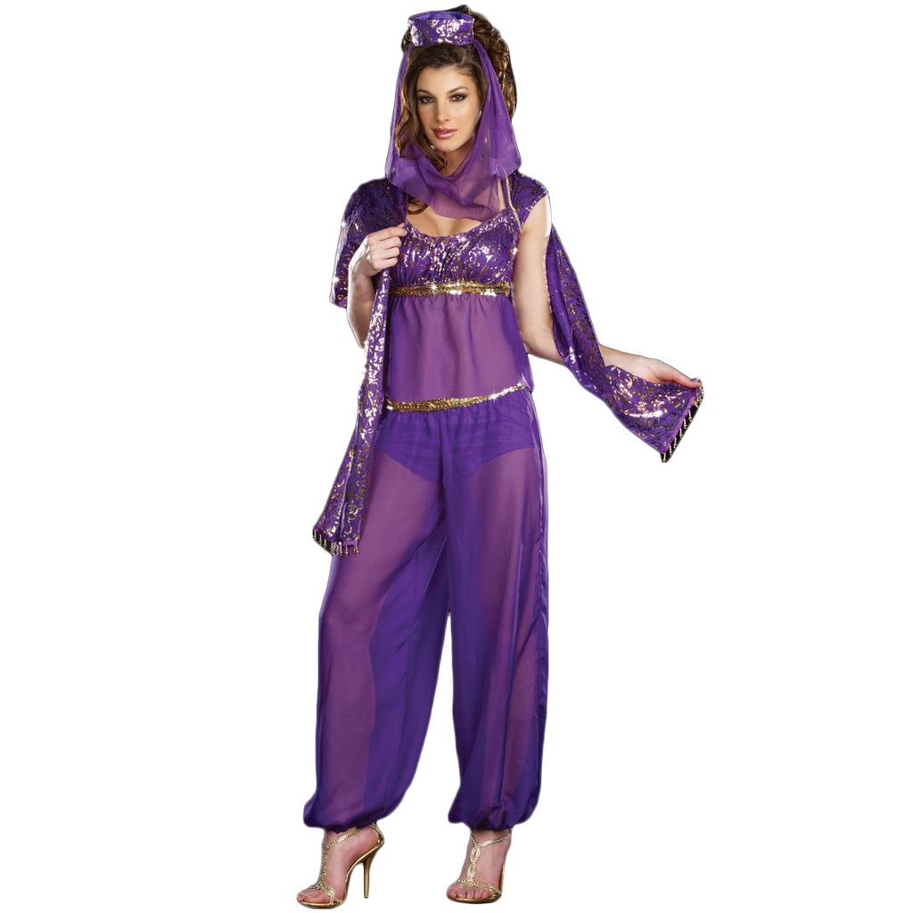 Indian sexy belly dancer costume, female Halloween costume, Arabic costume, purple costume