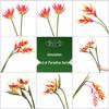 Phoenix Bird of Paradise 5-Head Green Plant Simulation - Large Decorative Branch for Home